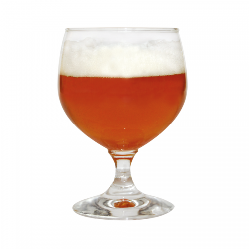 Bierkit English IPA - Brewferm