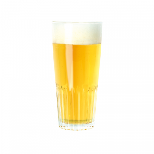 Bierkit Pilsner - Brewferm