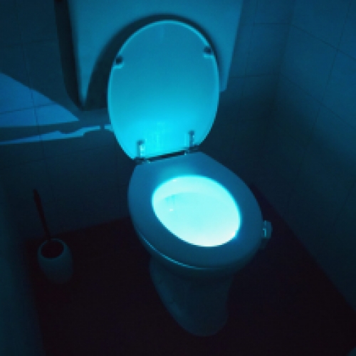 Toilet LED Light
